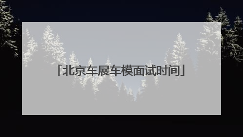 北京车展车模面试时间