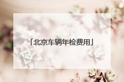 北京车辆年检费用