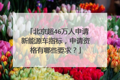 北京超46万人申请新能源车指标，申请资格有哪些要求？