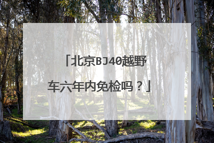 北京BJ40越野车六年内免检吗？