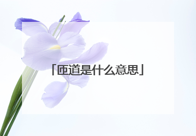 匝道是什么意思