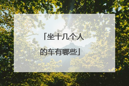 坐十几个人的车有哪些