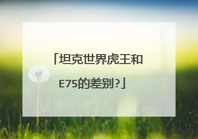坦克世界虎王和E75的差别?