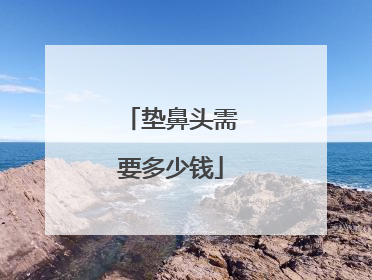 垫鼻头需要多少钱