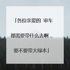各位亲爱的 审车都需要带什么去啊，要不要带大绿本