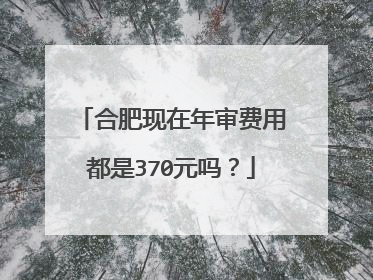 合肥现在年审费用都是370元吗？