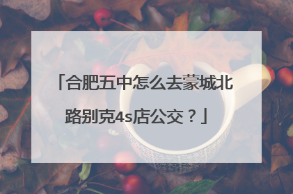合肥五中怎么去蒙城北路别克4s店公交？