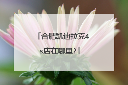 合肥凯迪拉克4s店在哪里?