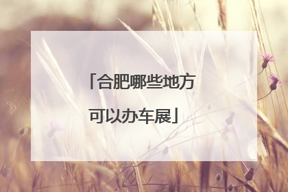 合肥哪些地方可以办车展