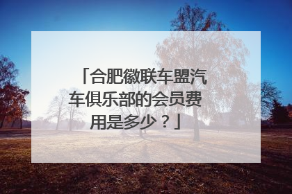 合肥徽联车盟汽车俱乐部的会员费用是多少？