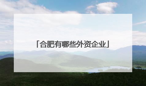 合肥有哪些外资企业