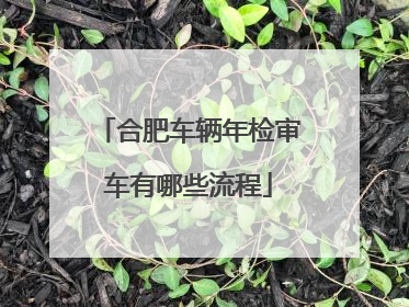 合肥车辆年检审车有哪些流程