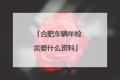 合肥车辆年检需要什么资料