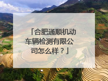 合肥通顺机动车辆检测有限公司怎么样？