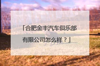 合肥金丰汽车俱乐部有限公司怎么样？