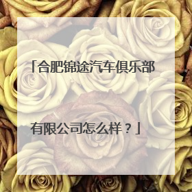 合肥锦途汽车俱乐部有限公司怎么样？