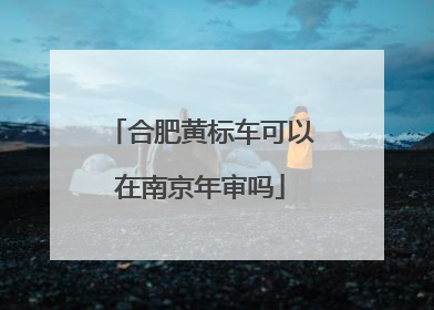 合肥黄标车可以在南京年审吗