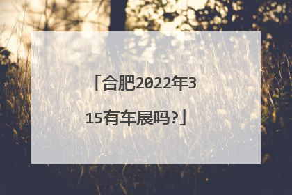 合肥2022年315有车展吗?