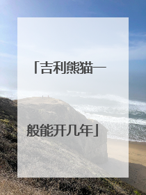 吉利熊猫一般能开几年