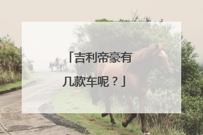 吉利帝豪有几款车呢？