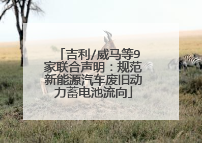 吉利/威马等9家联合声明：规范新能源汽车废旧动力蓄电池流向