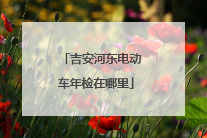 吉安河东电动车年检在哪里