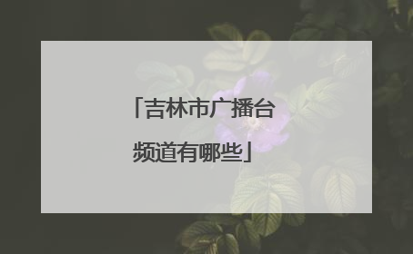 吉林市广播台频道有哪些