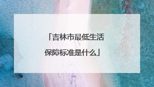 吉林市最低生活保障标准是什么