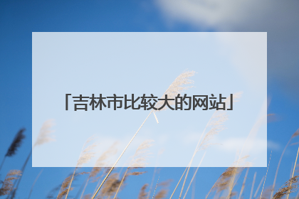 吉林市比较大的网站