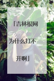 吉林根网为什么打不开啊