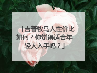 吉普牧马人性价比如何？你觉得适合年轻人入手吗？