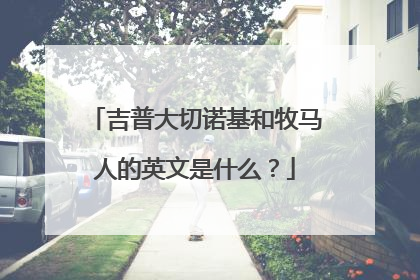吉普大切诺基和牧马人的英文是什么？