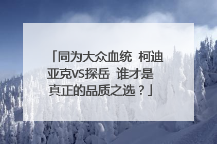 同为大众血统 柯迪亚克VS探岳 谁才是真正的品质之选？