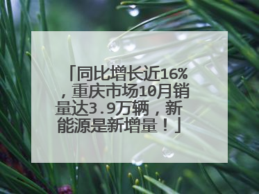 同比增长近16%，重庆市场10月销量达3.9万辆，新能源是新增量！