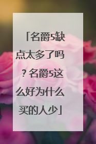 名爵5缺点太多了吗？名爵5这么好为什么买的人少