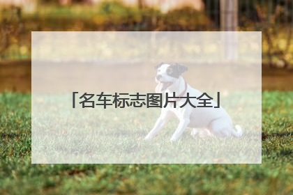 名车标志图片大全