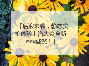 后浪来袭，静态实拍体验上汽大众全新MPV威然！