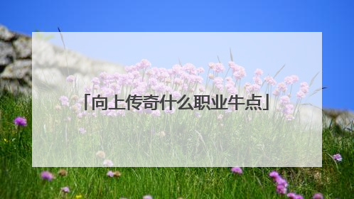 向上传奇什么职业牛点