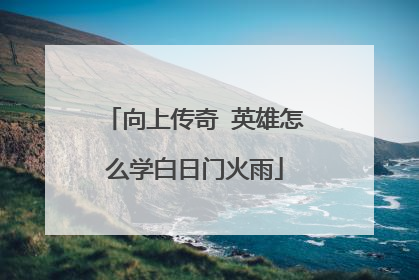 向上传奇 英雄怎么学白日门火雨