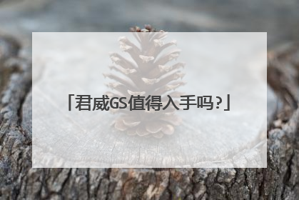 君威GS值得入手吗?