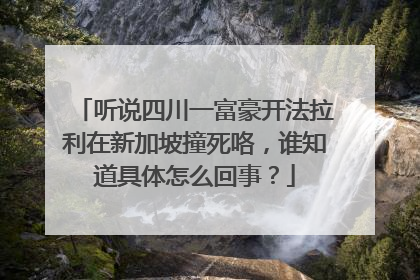 听说四川一富豪开法拉利在新加坡撞死咯，谁知道具体怎么回事？