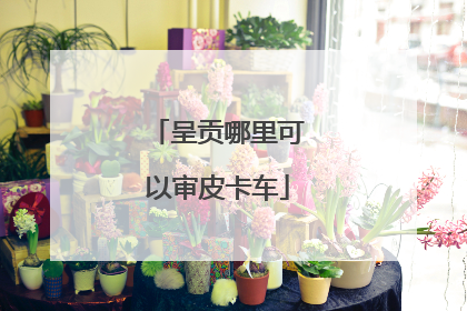 呈贡哪里可以审皮卡车