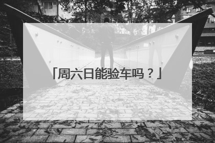 周六日能验车吗？