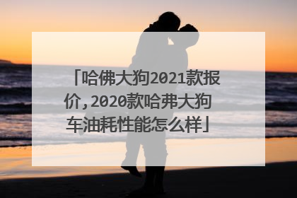 哈佛大狗2021款报价,2020款哈弗大狗车油耗性能怎么样