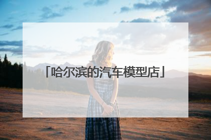 哈尔滨的汽车模型店