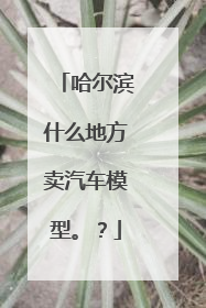 哈尔滨什么地方卖汽车模型。？