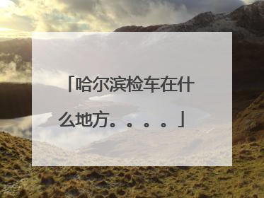 哈尔滨检车在什么地方。。。。
