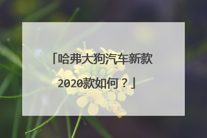 哈弗大狗汽车新款2020款如何？