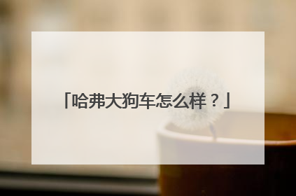哈弗大狗车怎么样？
