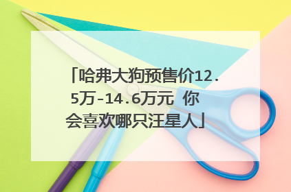 哈弗大狗预售价12.5万-14.6万元 你会喜欢哪只汪星人